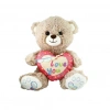 Mey İthalat® PJH2324  Peluş Kalpli Ayı Love You 30 cm -Vardem