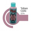 Mey İthalat® Rich Multi Surface 2276 Yaban Gülü Akrilik Boya 120 cc