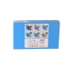 Mey İthalat® XG879-101 -UÇAK