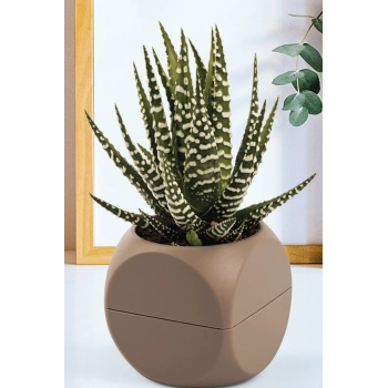 1 No Küp Saksı Royaleks-KRS-401