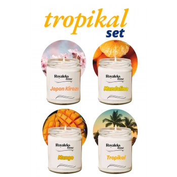 4 Adet Doğal Özel Seri Kokulu Dekoratif Kavanoz Mum 4X210 cc - Tropikal Set - RYL