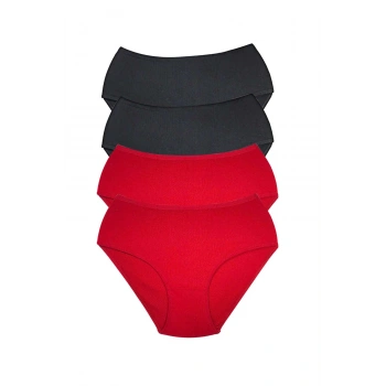 4 Adet Kadın Yüksek Bel Ribana Bato Külot S013