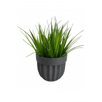 Çizgili Saksı Sazlı Çiçek Royaleks-5782