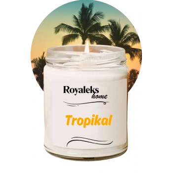 Doğal Özel Seri Kokulu Dekoratif Kavanoz Mum 210 cc - Tropikal Esans - RYL