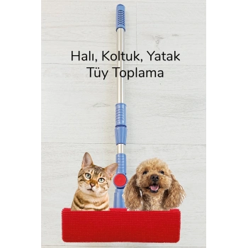 Kedi Köpek Sihirli Tüy Temizleme Fırçası 4 ü 1 Arada Döner Başlıklı