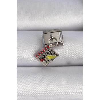 Mey İthalat® 316L Çelik Gümüş Renk Sallantı Defter Figür Nomination Charm