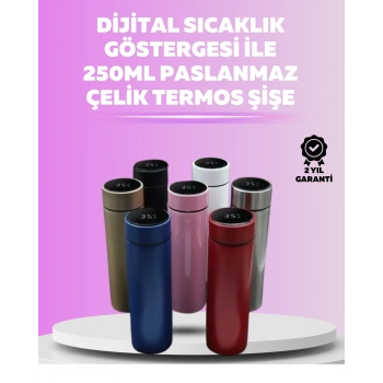 Mey İthalat® LED Sıcaklık Ölçerli 250 ml Yalıtımlı Termos Şişe