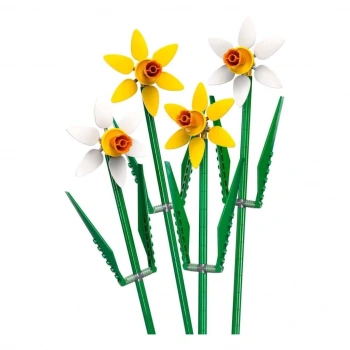 Mey İthalat® Nergis Kutlama Hediyesi 40747