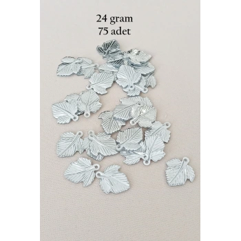 Oya Abiye Bileklik Kolye Pleksi Metalik Plastik Pul Gümüş Renk 24 gram 75 adet - BNC582