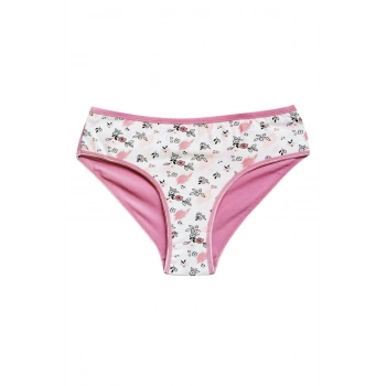 Pamuklu Geniş Kenarlı Likralı Desenli Bato Kadın Külot Desen 5