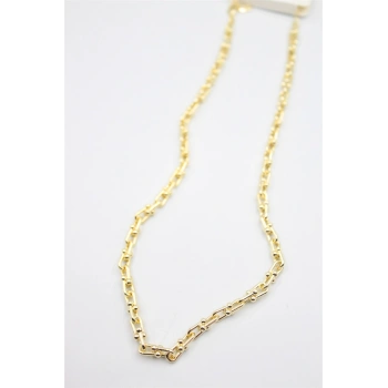 Tfn Zincir Kolye - Altın