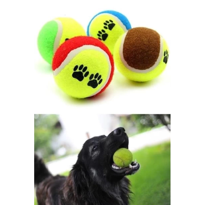 BUFFER®  3lü Renkli Desenli Tenis Topu Kedi Köpek Oyuncağı