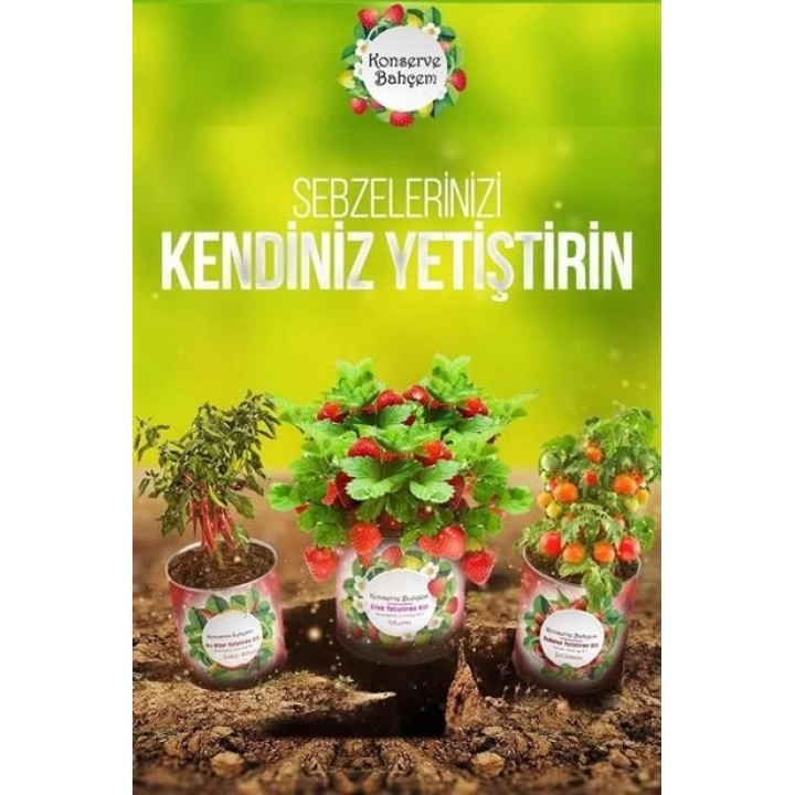 BUFFER® Konserve Bahçem Evde Konservede Sultani Bamya Yetiştirme Kiti