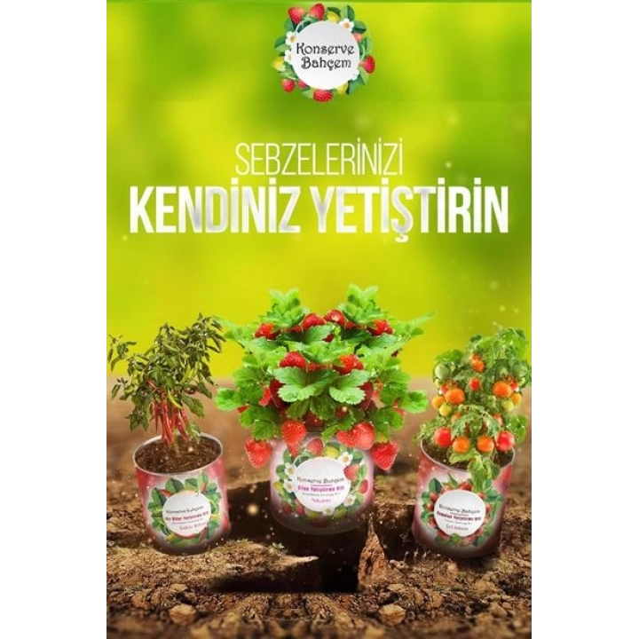 ShopZum Konserve Bahçem Evde Konservede Acı Saksı Biberi Yetiştirme Kiti