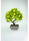 Dekor Ağaç Limon Ağacı Saksılı Dekoratif Ağaç Biblo 24x13 cm