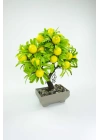 Dekor Ağaç Limon Ağacı Saksılı Dekoratif Ağaç Biblo 24x13 cm