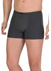 Erkek Modal Boxer Short Füme 4488B