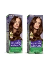 Naturals Saç Boyası Altın Kestane 5/73 2x Paket