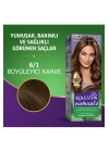 Naturals Saç Boyası Büyüleyici Kahve 6/1