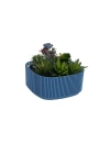 Aranjman Plastik Saksı 16.5x16.5x7.5 cm 1 Lt No1 Renk 1