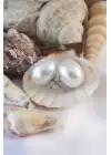 20mm İnci Model Kadın Küpe