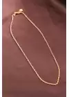 316l Çelik Gold Renk 60 Cm İnce Burgu Zincir Kolye