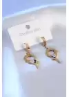 316l Çelik Gold Renk Yılan Model Zirkon Taşlı Kadın Küpe