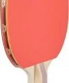 Avessa Rak 200 Masa Tenisi Raketi 2 Yıldız