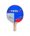 Avessa Rak 200 Masa Tenisi Raketi 2 Yıldız