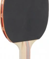 Avessa Rak 200 Masa Tenisi Raketi 2 Yıldız