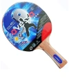Avessa Rak200 İttf Onaylı Masa Tenisi Raketi