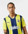 Puma 775360-01 Fenerbahçe 24/25 Erkek İç Saha Çubuklu Forması Sarı-Lacivert