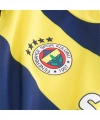 Puma 775364-01 Fenerbahçe 24/25 Çocuk Unisex İç Saha Çubuklu Forması Sarı-Lacivert