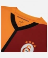 Puma 779650-01 Galatasaray 24/25 Erkek İç Saha Parçalı Forma Sarı-Kırmızı
