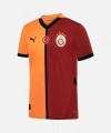 Puma 779650-01 Galatasaray 24/25 Erkek İç Saha Parçalı Forma Sarı-Kırmızı
