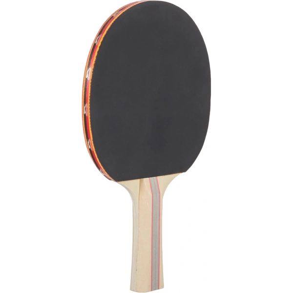 Avessa Rak 200 Masa Tenisi Raketi 2 Yıldız