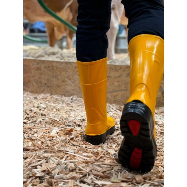 Techno Boots Poliüretan Soğuğa Dayanıklı Kısa Çelik Burunlu Sarı Çizme