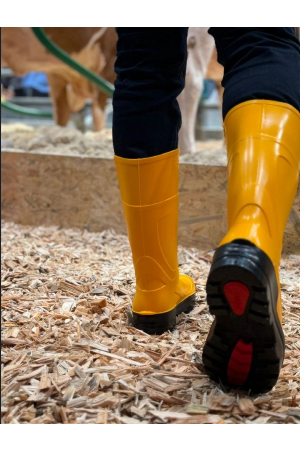 Techno Boots Poliüretan Soğuğa Dayanıklı Kısa Çelik Burunlu Sarı Çizme