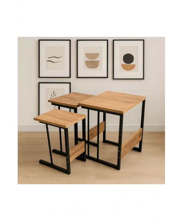 ZİGON SEHPA 3LÜ DEKORTİF YAN SEHPA ATLANTİK SEHPA