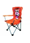 Çocuk Kamp Sandalyesi Aslan Desen