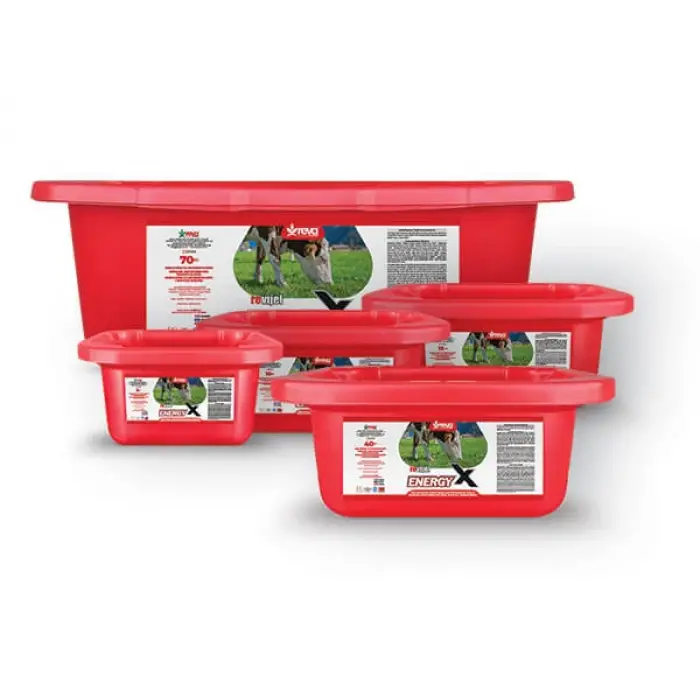 REVIJEL ENERGY X- YALAMA JELİ