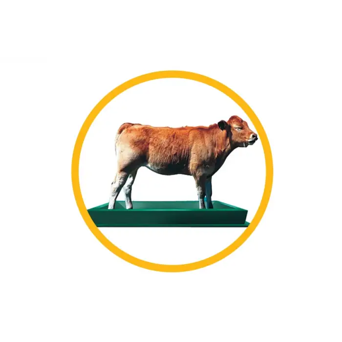 DEZENFEKTE HAVUZU BÜYÜK (AYAK BANYOSU)