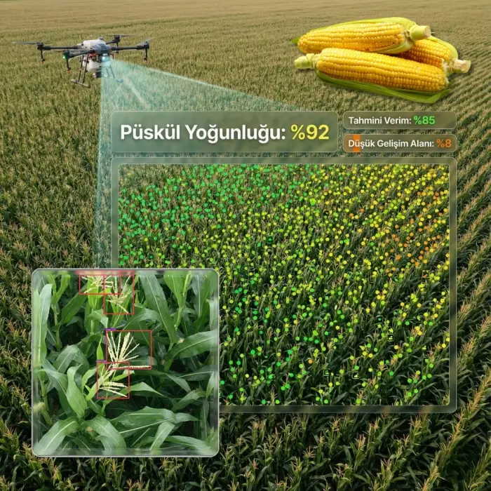 AGROVECH DRON MISIR PÜSKÜL SAYIMI PAKETİ