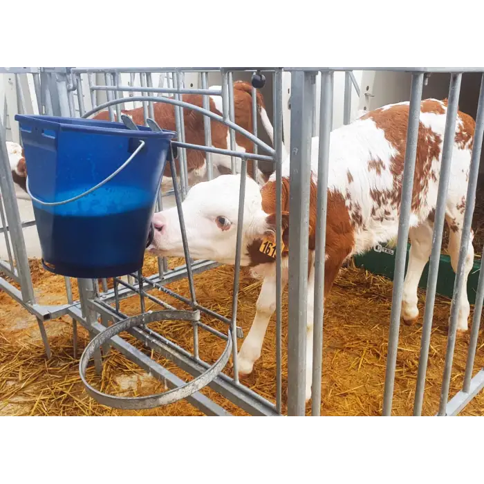 Calf Buddy™ Buzağı Emziği 10lu Kutu