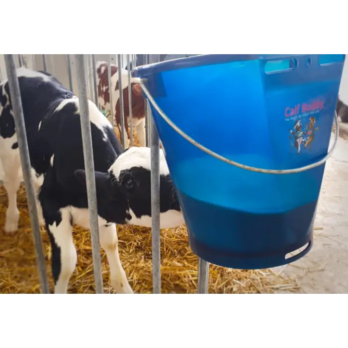Calf Buddy™ Buzağı Emziği 10lu Kutu