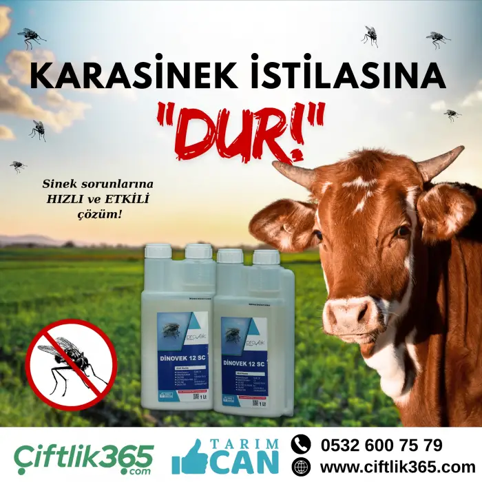 DİNOVEK SİNEK İLACI 5 Litre