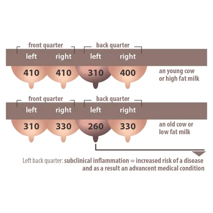 DRAMİNSKİ MASTİTİS DEDEKTÖRÜ