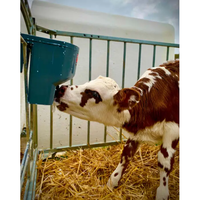 Milk Bar™ 4L Calf Feeder