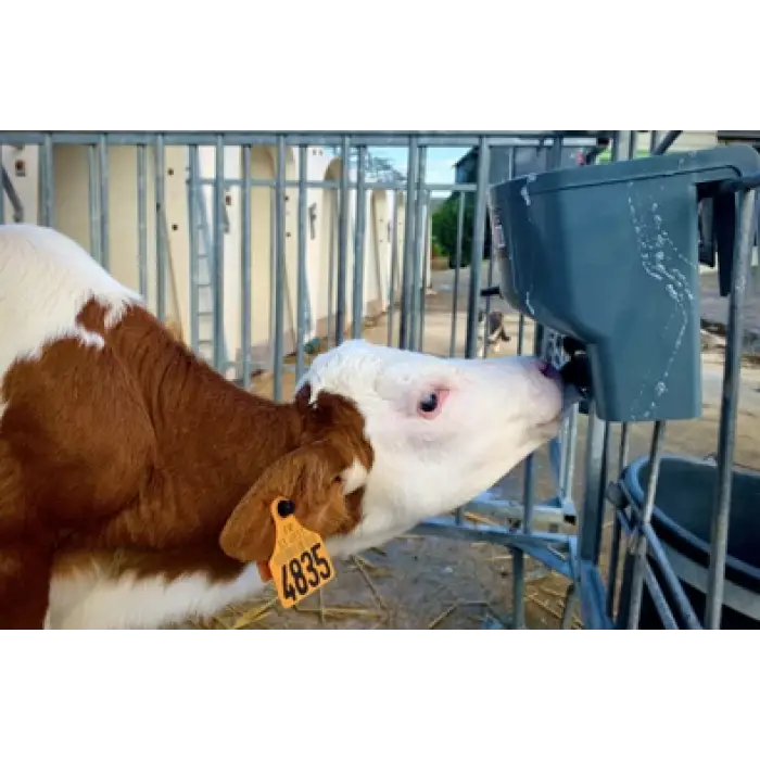 Milk Bar™ 4L Calf Feeder