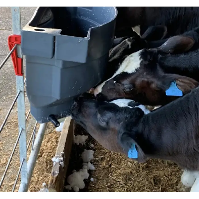 Milk Bar™ Buzağı Emziği 50li Kutu